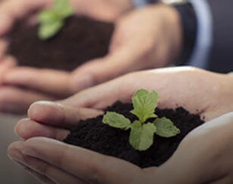 BPTP Verti Greens, Sector 102, Dwarka Expressway, Gurgaon